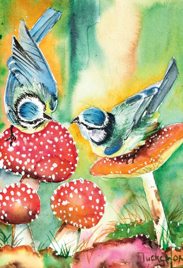Card No. 505
